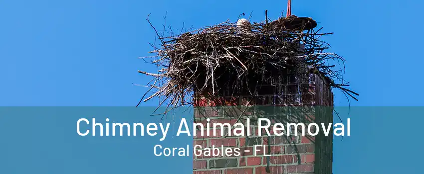 Chimney Animal Removal Coral Gables - FL