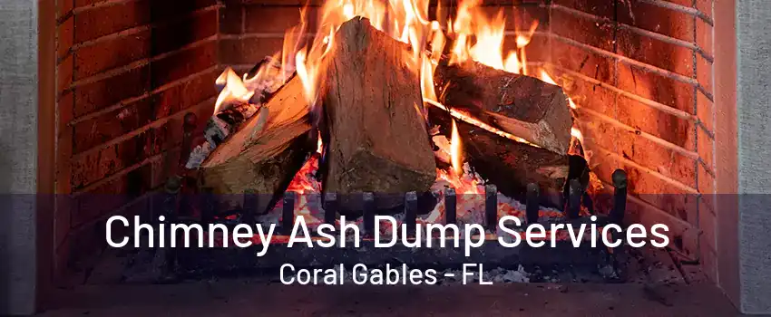 Chimney Ash Dump Services Coral Gables - FL