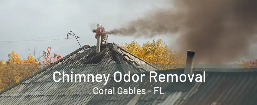 Chimney Odor Removal Coral Gables - FL