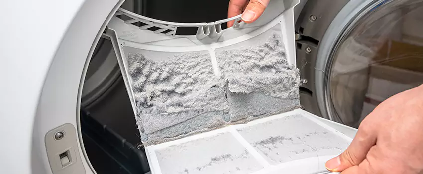 Best Dryer Lint Removal Company in Coral Gables, Florida